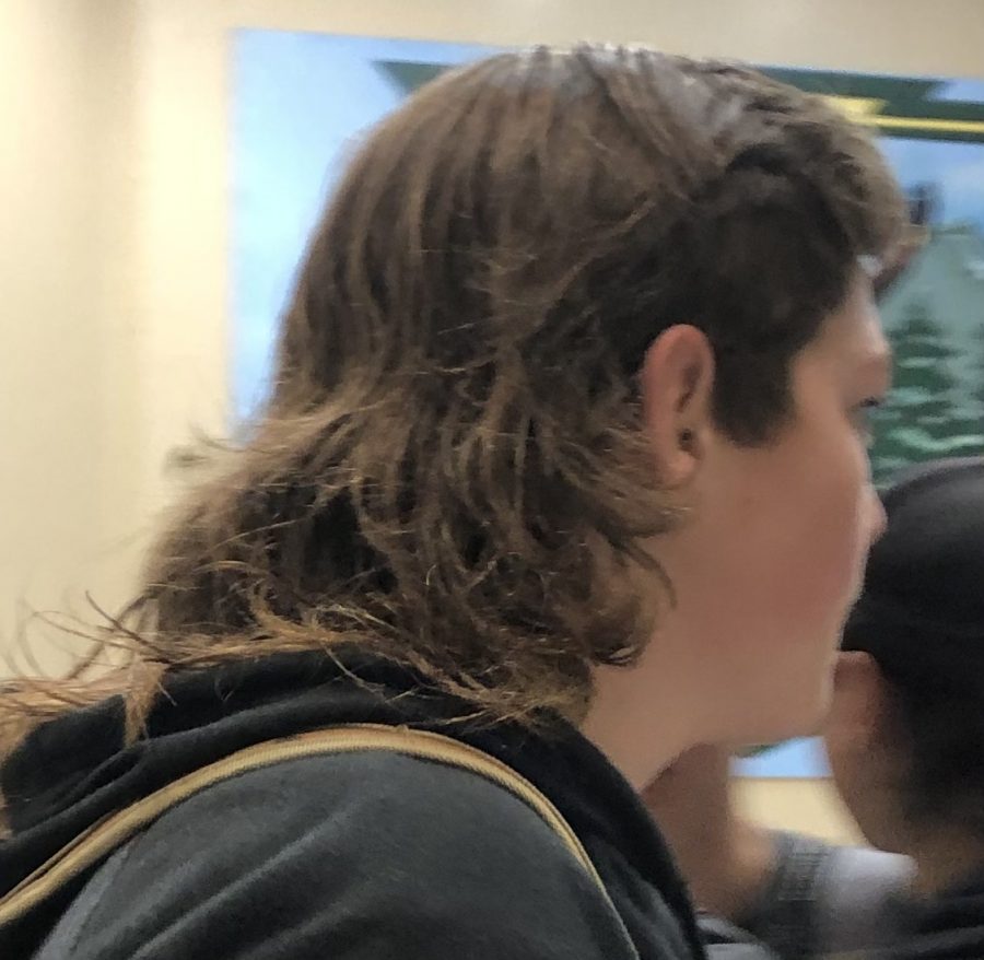 Are Mullets Really that Great?