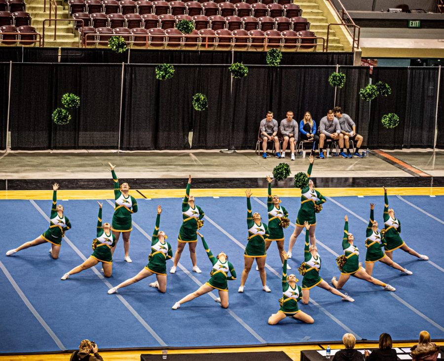 Cheer Competes at State