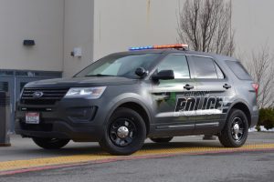 PD Cruiser Wrapped in Green and Gold