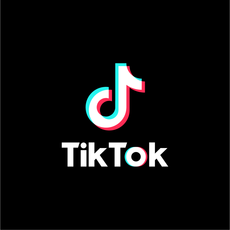 Tiktok+Takeover+at+Lakeland