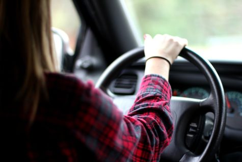 The Expenses of Driving Lessons