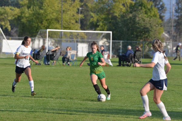 Hawks Split Against Moscow and Bonners Ferry