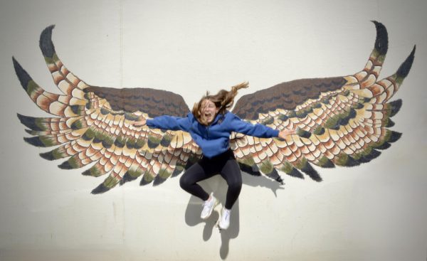 Baylee jumps in front of wings.