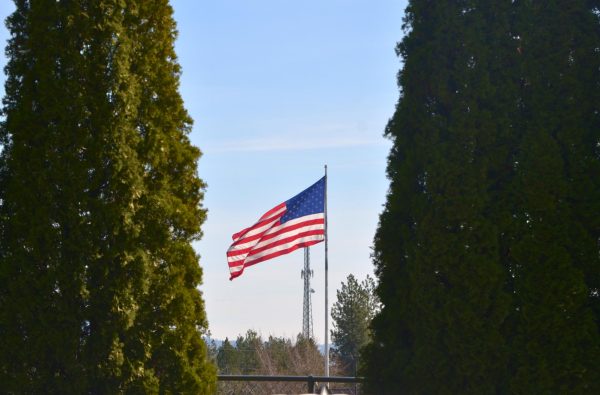 The American Flag framed by two hedges 