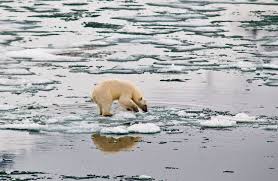 Global Warming