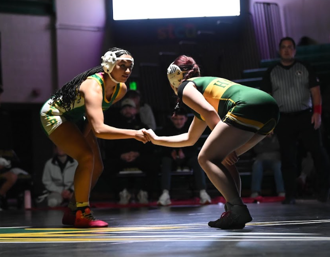 Inner Workings Of Green & Gold Night