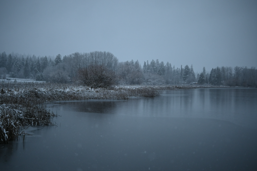 Hauser lake edge with some ice and snow