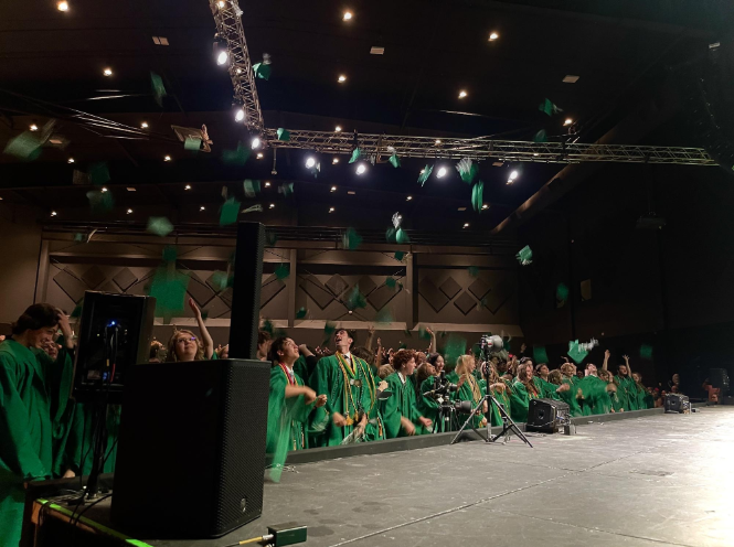 Gap Year after Gradutation?