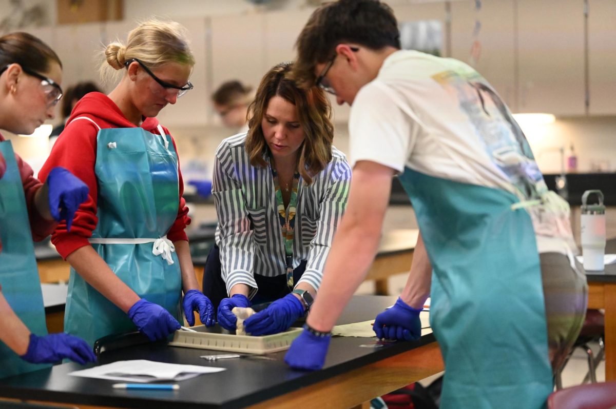 Mrs. Schafer helping Haylee Mead, Libby Huffman, and Parket Byrd dissect a sheep heart.