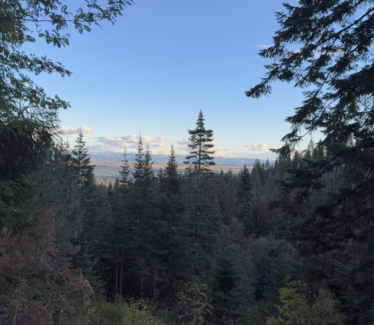 Views and Elevation